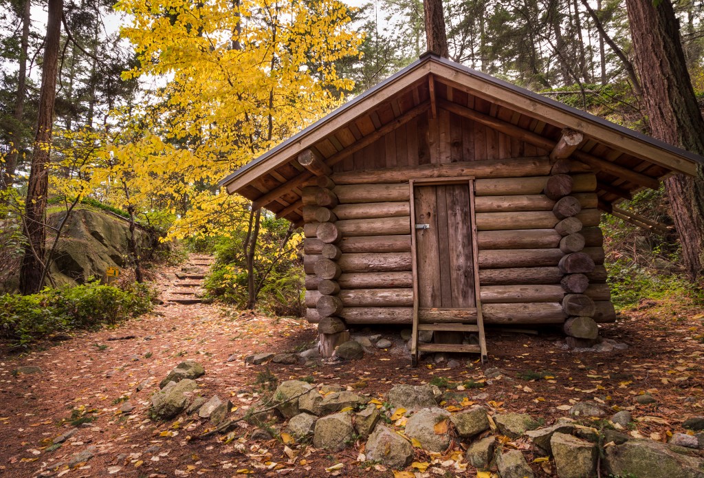 cabin in woods