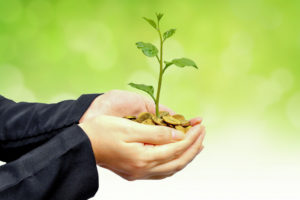 a person holding a plant