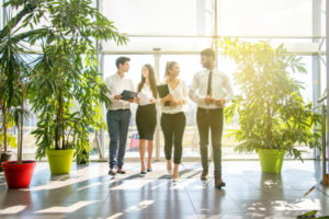employee walking in the office lobby with plants around