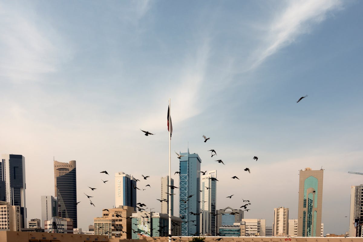 birds on the city horizon